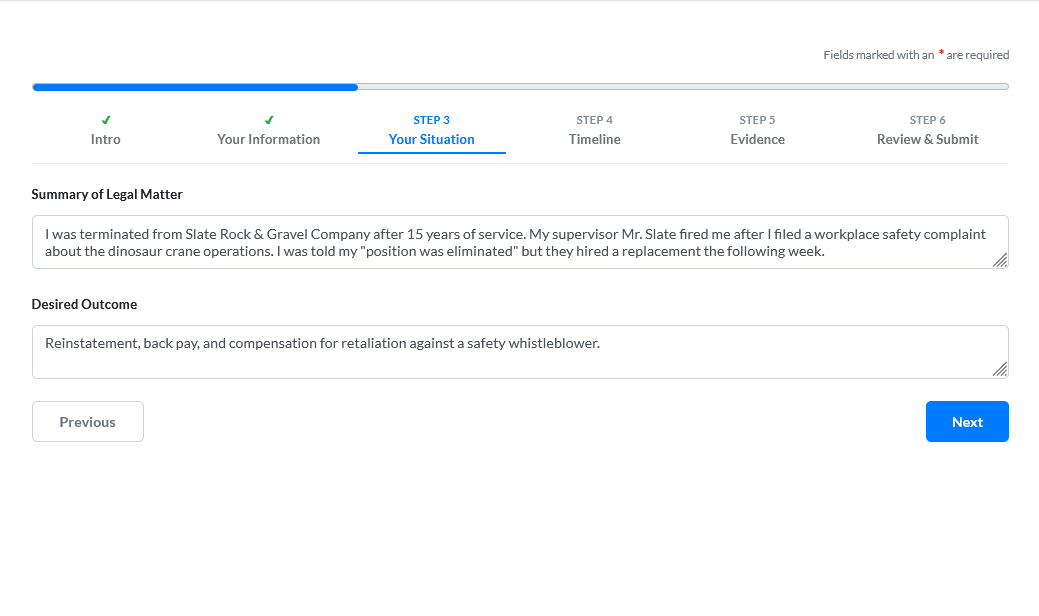 Intake form — Your Situation page showing case summary fields